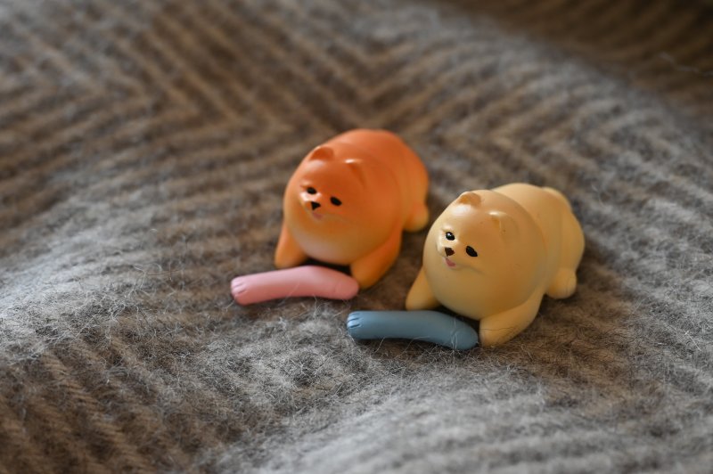 STASTO Animal Attraction 系列「散步博美2」轉蛋 下雨天也做好萬全準備要出去玩啦～