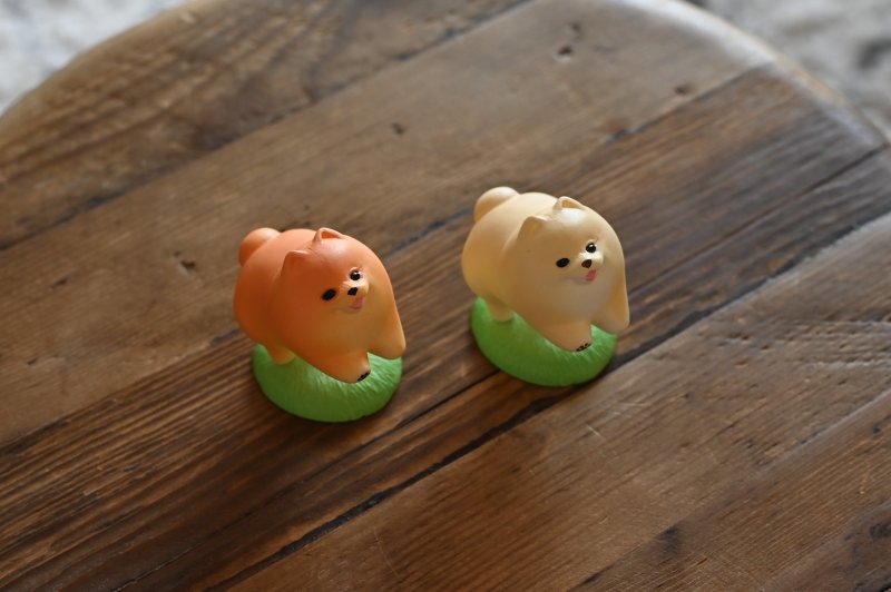 STASTO Animal Attraction 系列「散步博美2」轉蛋 下雨天也做好萬全準備要出去玩啦～