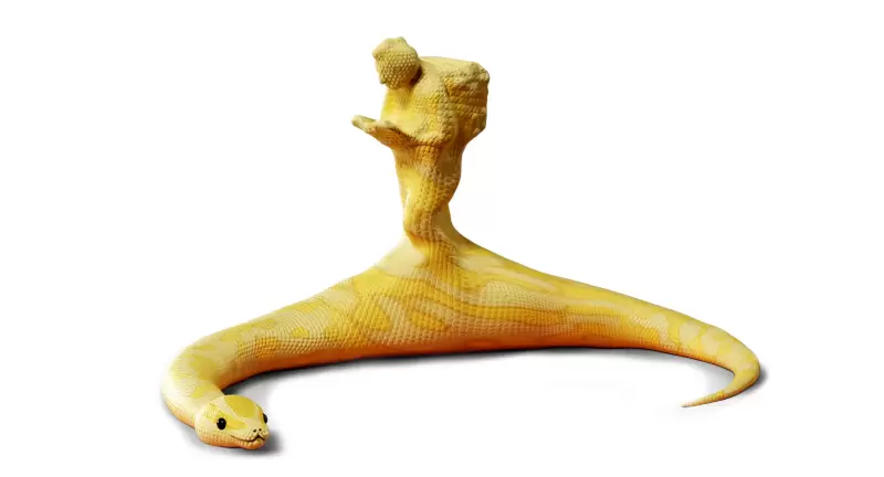 黃組「大口吞蛇蛇 扭蛋」變成豪車、二宮像、國會議事堂的形狀！將蛇吞象精神發揮到最大