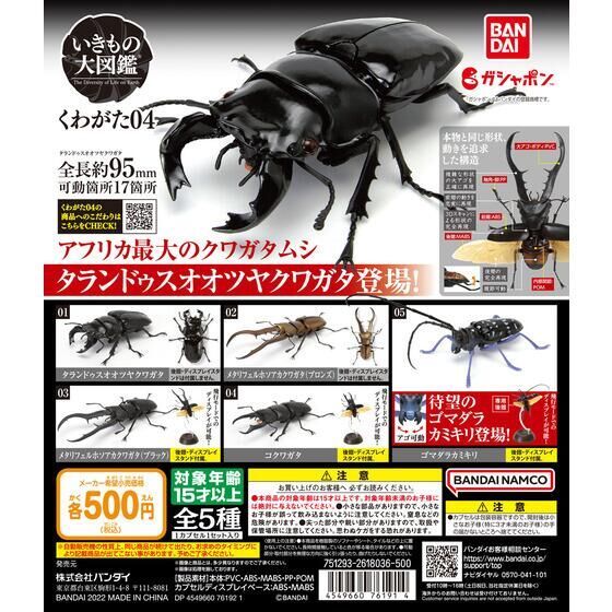 GASHAPON 昆蟲大圖鑑「鍬形蟲04」超擬真環保扭蛋馬拉白星天牛參戰！