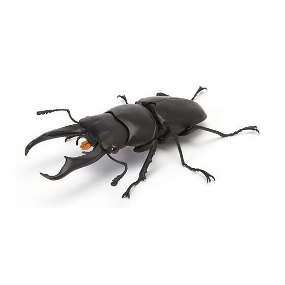 GASHAPON 昆蟲大圖鑑「鍬形蟲04」超擬真環保扭蛋馬拉白星天牛參戰！