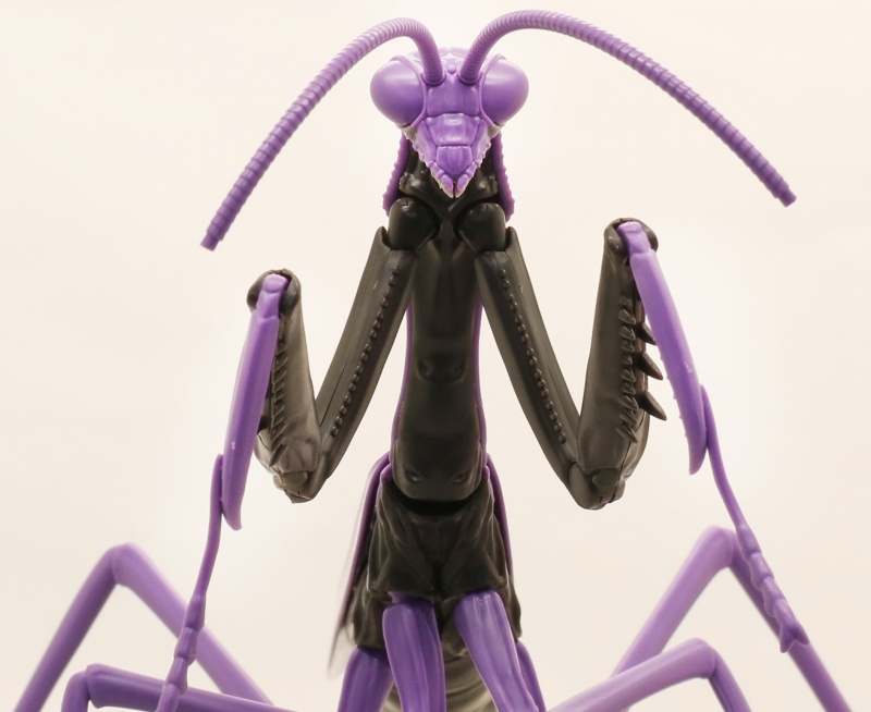 螳螂戰士新劇場版 FUJIMIxEVANGELION『自由研究 枯葉大刀螳 初號機/8號機規格』組裝模型 11 月發售!