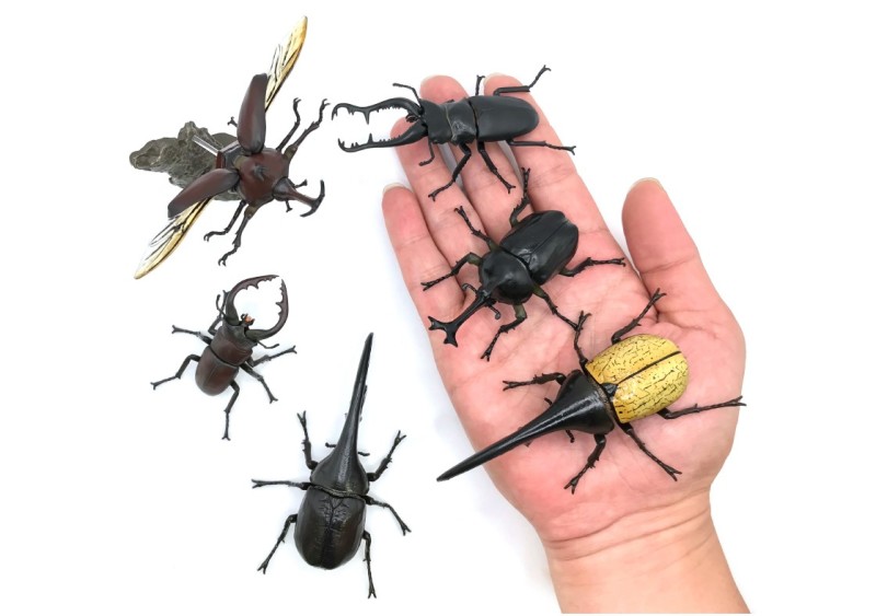 GASHAPON 新系列「昆蟲大圖鑑迷你收藏 昆蟲01」轉蛋 生動造型展示自然狀態