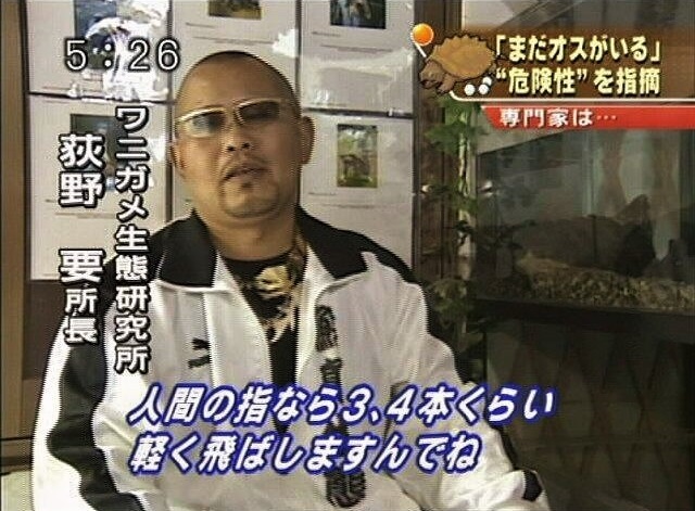 長相兇惡錯了嗎！鱷龜愛好者受邀收錄生態節目：每個人都問我有沒有前科
