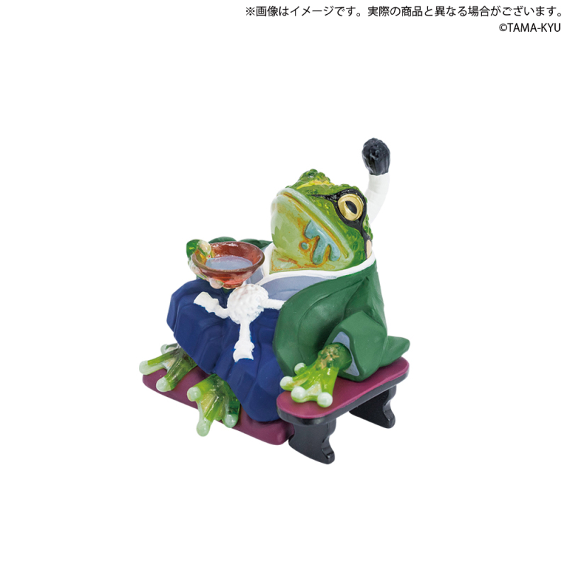 TAMA-KYU「主君大人青蛙」令和的領主霸氣登場呱呱!