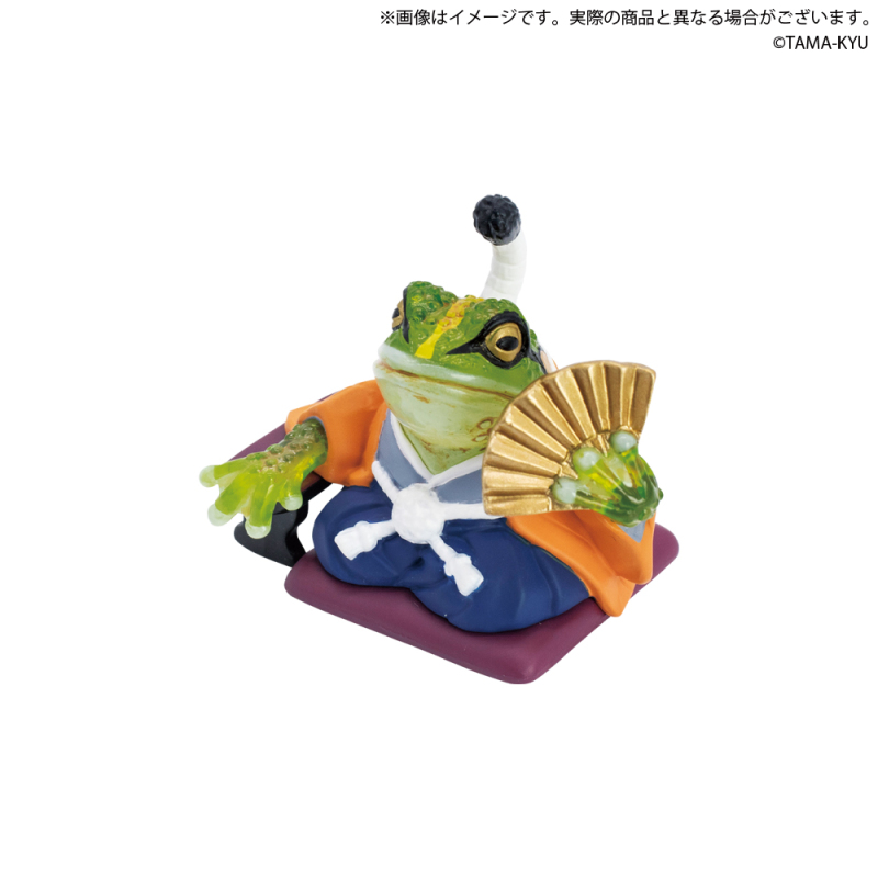TAMA-KYU「主君大人青蛙」令和的領主霸氣登場呱呱!