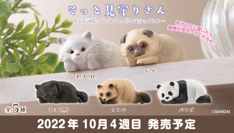 我就靜靜看著你裝...GASHAPON可愛動物的「輕輕注視」轉蛋!