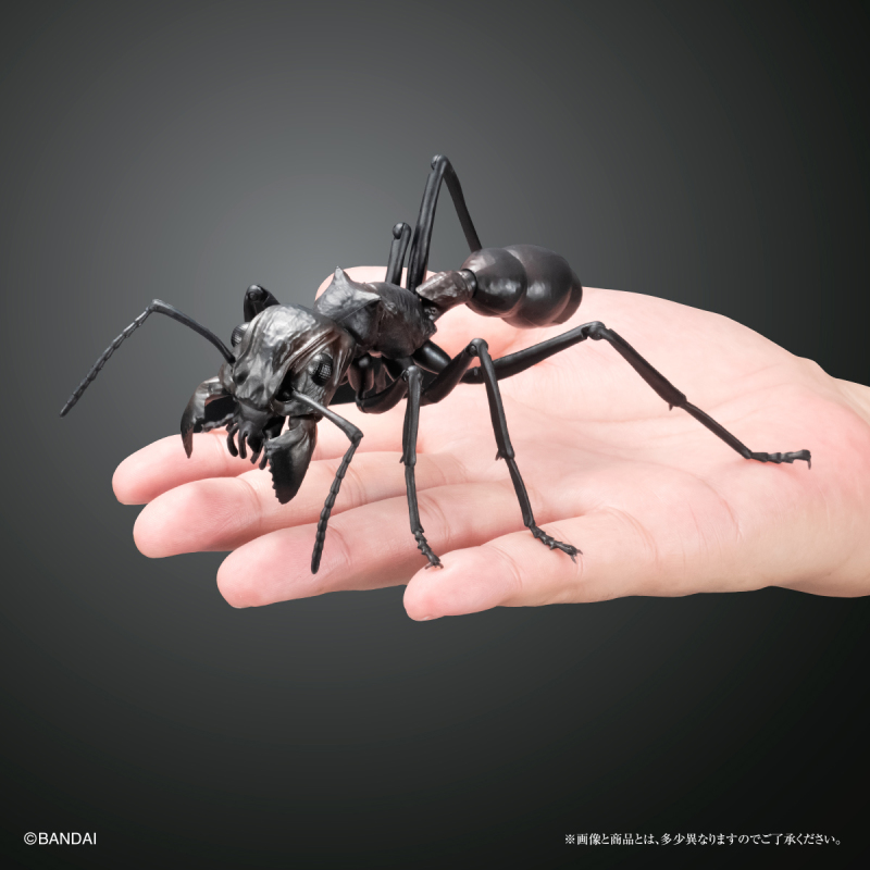 萬代「生物大圖鑑螞蟻」12公分、26個可動關節再現昆蟲界最強子彈蟻！ | 玩具人Toy People News