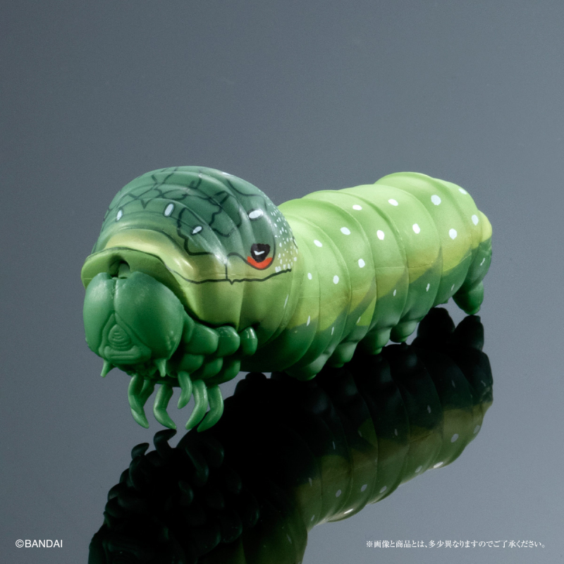 GASHAPON ONLINE「生物大圖鑑 毛毛蟲02」環保扭蛋 擬真再現大紫蛺蝶幼蟲、舟蛾幼蟲!