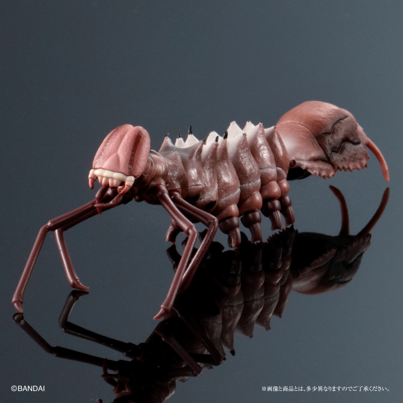 GASHAPON ONLINE「生物大圖鑑 毛毛蟲02」環保扭蛋 擬真再現大紫蛺蝶幼蟲、舟蛾幼蟲!