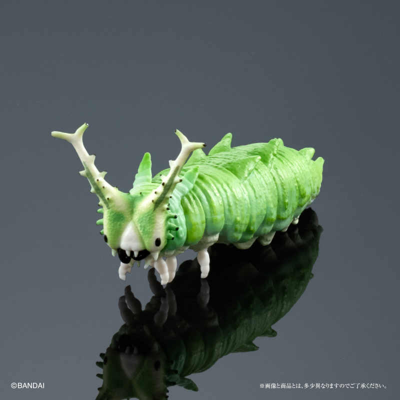 GASHAPON ONLINE「生物大圖鑑 毛毛蟲02」環保扭蛋 擬真再現大紫蛺蝶幼蟲、舟蛾幼蟲!