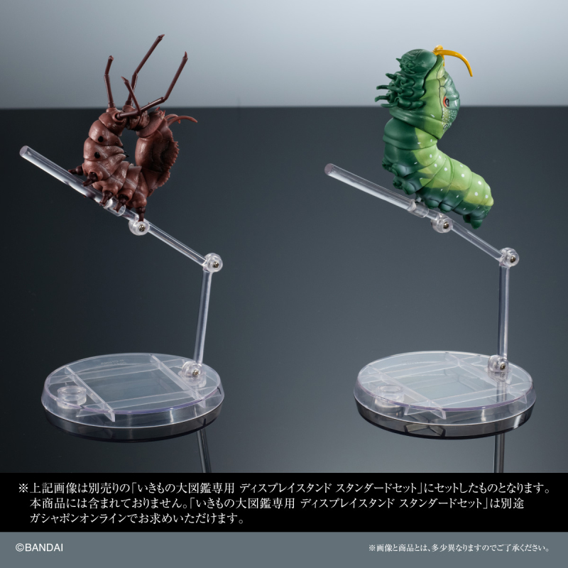 GASHAPON ONLINE「生物大圖鑑 毛毛蟲02」環保扭蛋 擬真再現大紫蛺蝶幼蟲、舟蛾幼蟲!