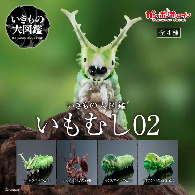 GASHAPON ONLINE「生物大圖鑑 毛毛蟲02」環保扭蛋 擬真再現大紫蛺蝶幼蟲、舟蛾幼蟲!