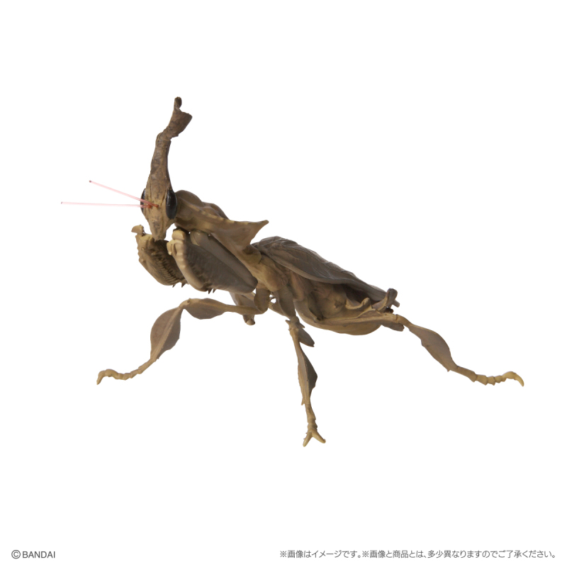 GASHAPON 新系列「昆蟲大圖鑑迷你收藏 昆蟲02」轉蛋 枯葉螳螂、幽靈螳螂登場!