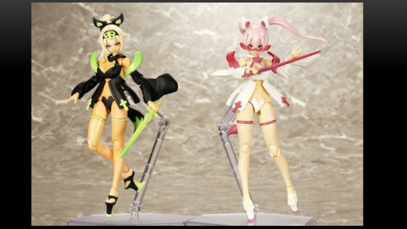 予約特典付】朱羅 玉藻ノ前 宴＆九尾 祭 まとめ売り