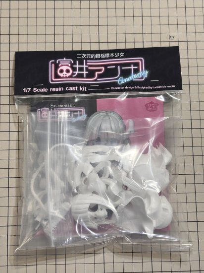 原來動漫少女的頭骨長這樣?造型作家榎木ともひで出道 25 周年記念作品『二次元風骨骼標本少女 富井ANNA』發表!