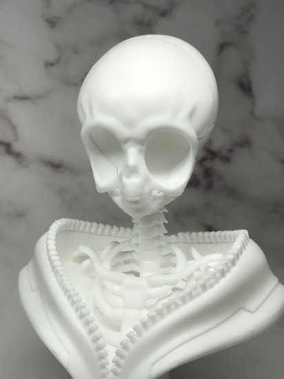 原來動漫少女的頭骨長這樣?造型作家榎木ともひで出道 25 周年記念作品『二次元風骨骼標本少女 富井ANNA』發表!