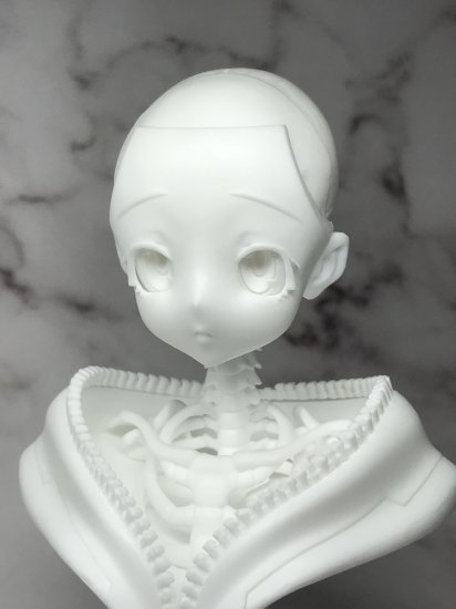 原來動漫少女的頭骨長這樣?造型作家榎木ともひで出道 25 周年記念作品『二次元風骨骼標本少女 富井ANNA』發表!