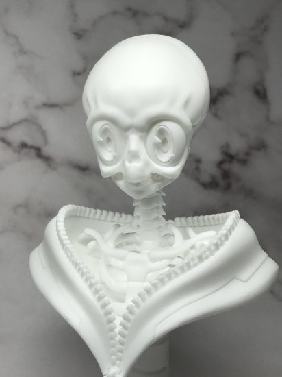 原來動漫少女的頭骨長這樣?造型作家榎木ともひで出道 25 周年記念作品『二次元風骨骼標本少女 富井ANNA』發表!