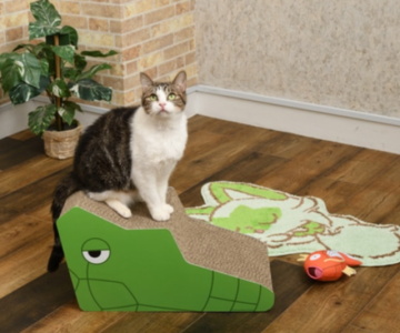 你各位貓奴注意！ 《寶可夢中心》推出寶可夢造型「貓抓板」讓貓皇開心遊玩