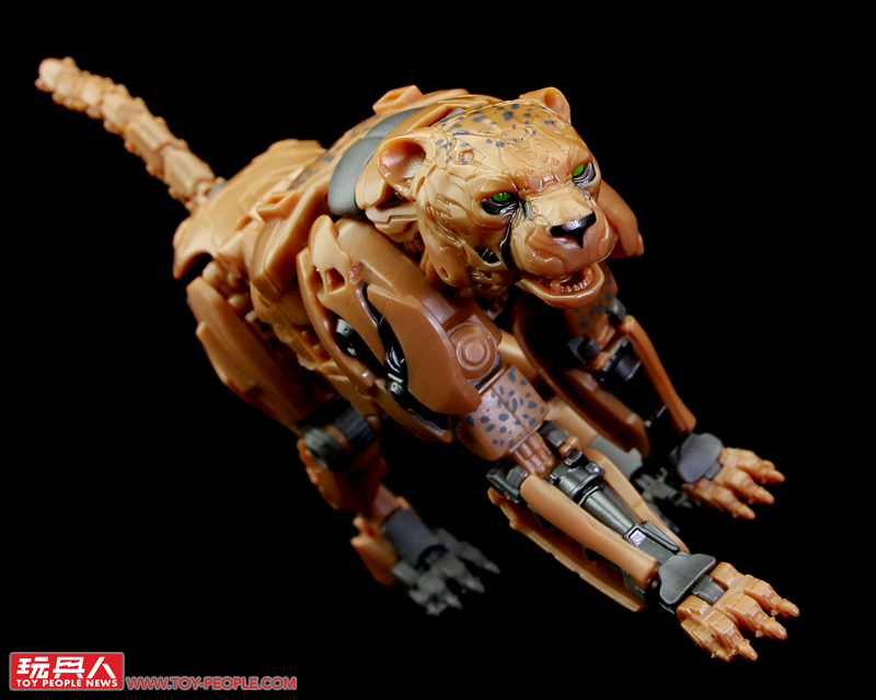 野性奔馳、獸性爆發！孩之寶變形金剛電影工作室系列「萬獸崛起」開箱報告