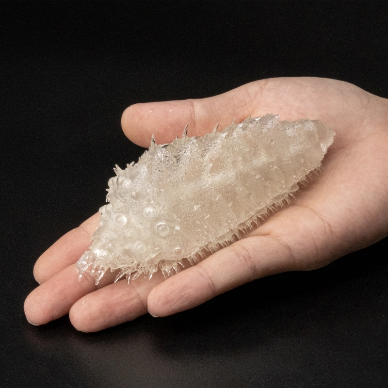 TAKEYA 式自在置物《風之谷》王蟲[小] 藍色/紅色/透明 可以一手掌握的迷你尺寸！