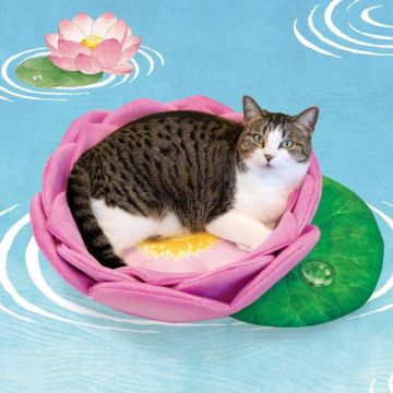 大慈大悲貓貓菩薩罐罐轉為功德　「Felissimo貓部」貓咪專用蓮花坐墊象徵純潔心靈