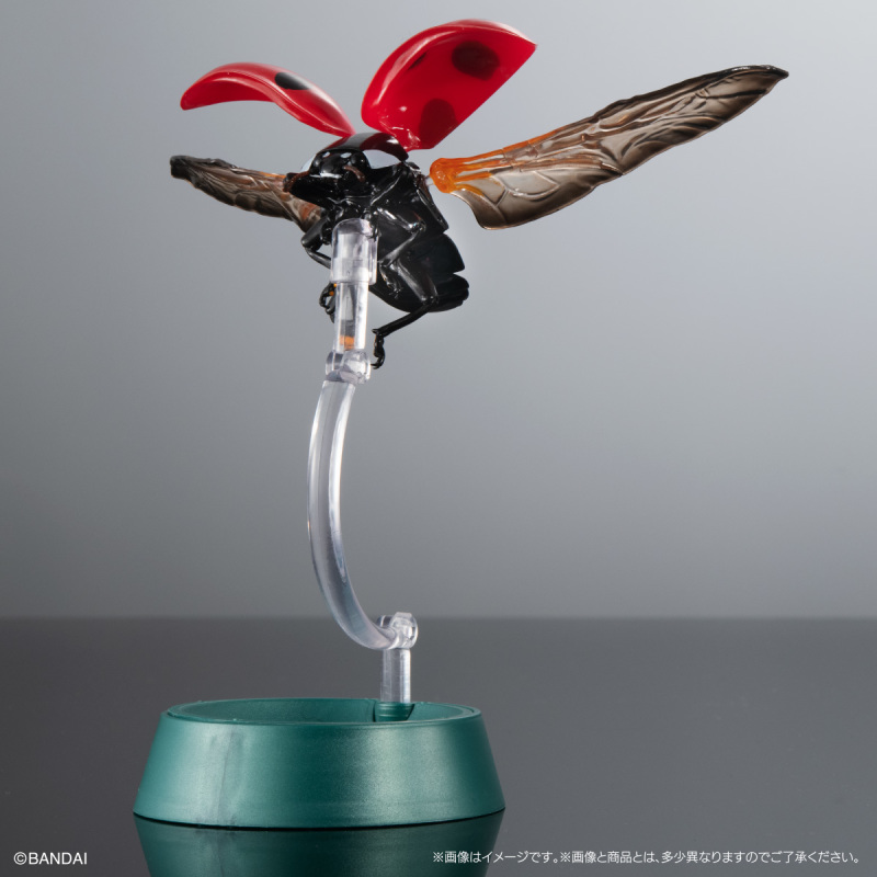 迎接春天的幸運瓢蟲來啦!萬代「生物大圖鑑Ultimate 瓢蟲」線上轉蛋 6公分放大可愛再現