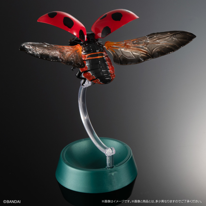 迎接春天的幸運瓢蟲來啦!萬代「生物大圖鑑Ultimate 瓢蟲」線上轉蛋 6公分放大可愛再現
