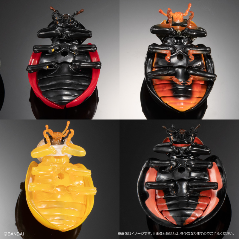 迎接春天的幸運瓢蟲來啦!萬代「生物大圖鑑Ultimate 瓢蟲」線上轉蛋 6公分放大可愛再現