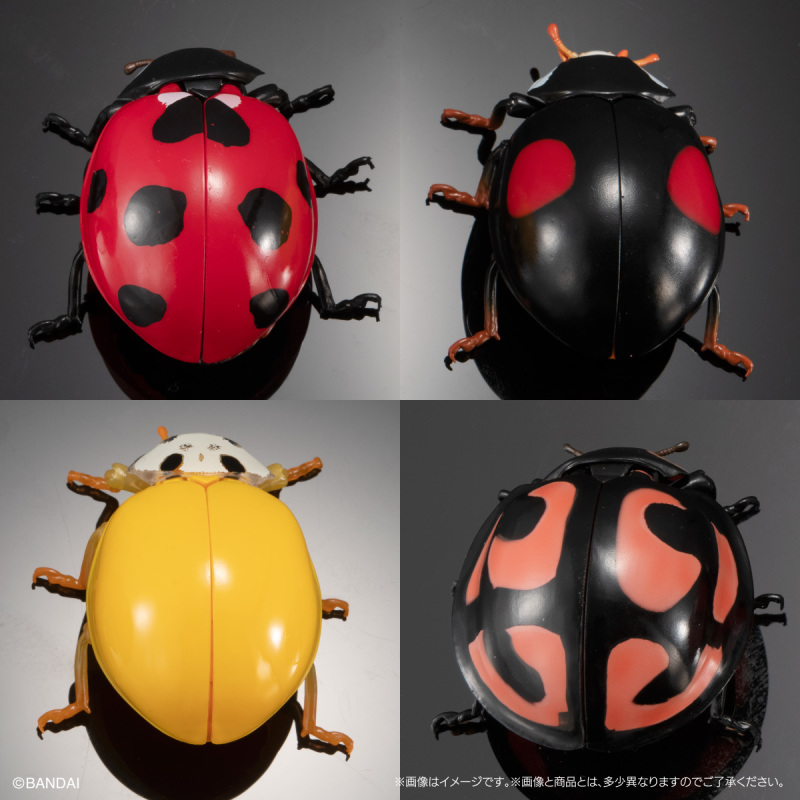 迎接春天的幸運瓢蟲來啦!萬代「生物大圖鑑Ultimate 瓢蟲」線上轉蛋 6公分放大可愛再現