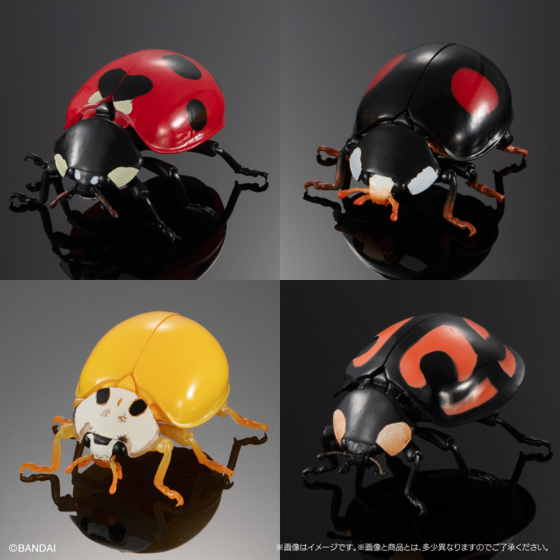 迎接春天的幸運瓢蟲來啦!萬代「生物大圖鑑Ultimate 瓢蟲」線上轉蛋 6公分放大可愛再現