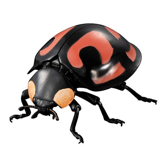 迎接春天的幸運瓢蟲來啦!萬代「生物大圖鑑Ultimate 瓢蟲」線上轉蛋 6公分放大可愛再現