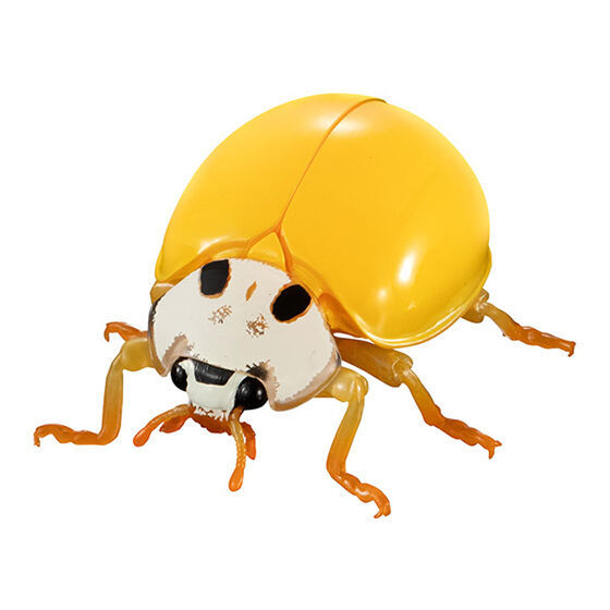 迎接春天的幸運瓢蟲來啦!萬代「生物大圖鑑Ultimate 瓢蟲」線上轉蛋 6公分放大可愛再現