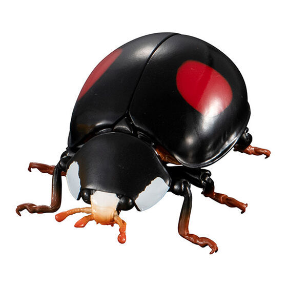 迎接春天的幸運瓢蟲來啦!萬代「生物大圖鑑Ultimate 瓢蟲」線上轉蛋 6公分放大可愛再現