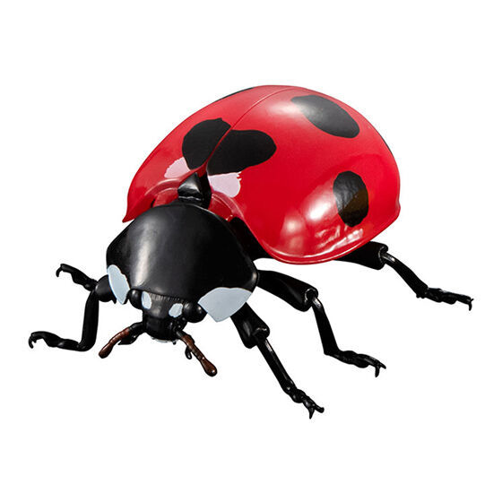 迎接春天的幸運瓢蟲來啦!萬代「生物大圖鑑Ultimate 瓢蟲」線上轉蛋 6公分放大可愛再現