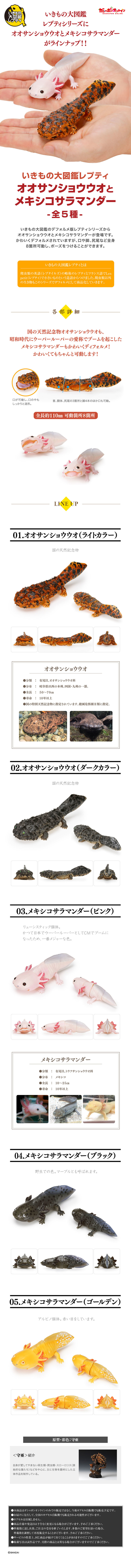 萬代GASHAPON「生物大圖鑑Repti 大山椒魚＆六角恐龍」環保轉蛋 日本國寶級動物來啦！