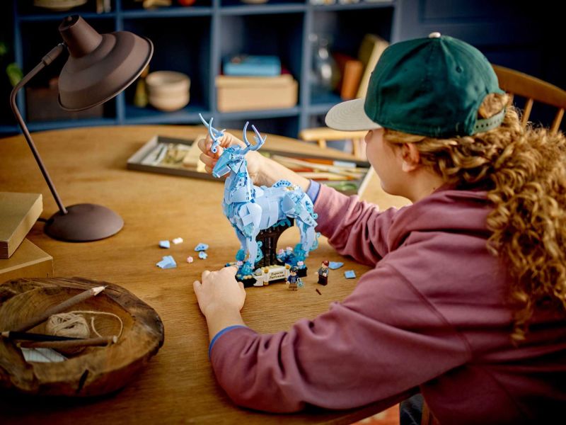 LEGO 76414~76416、76421~76423《哈利波特》六款主題新作公開 每一盒都好有料!