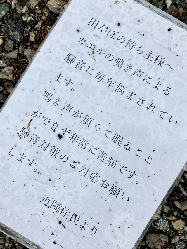 被蛙鳴吵到睡不著竟寫信請田地主人採取對策？！網：我是要怎麼請青蛙安靜……