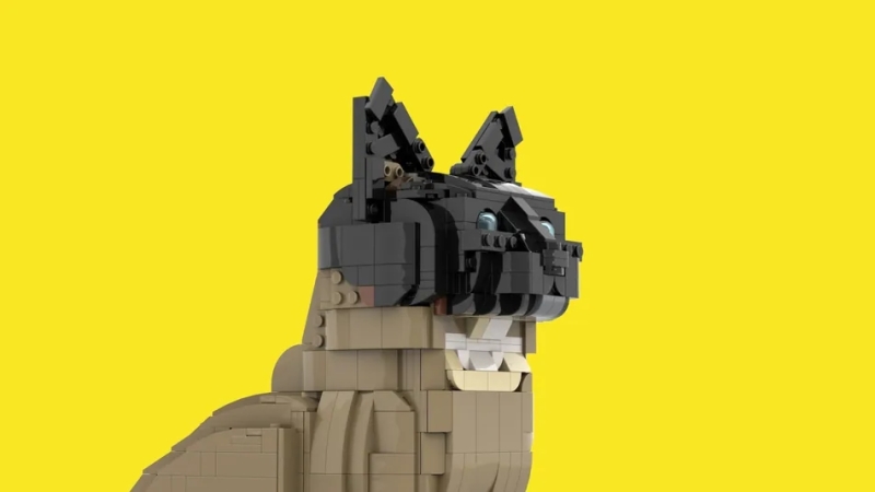 2022 年 LEGO IDEAS 作品第三波審核結果公開!經典電影《大白鯊》、樂高寵物貓將在未來商品化!