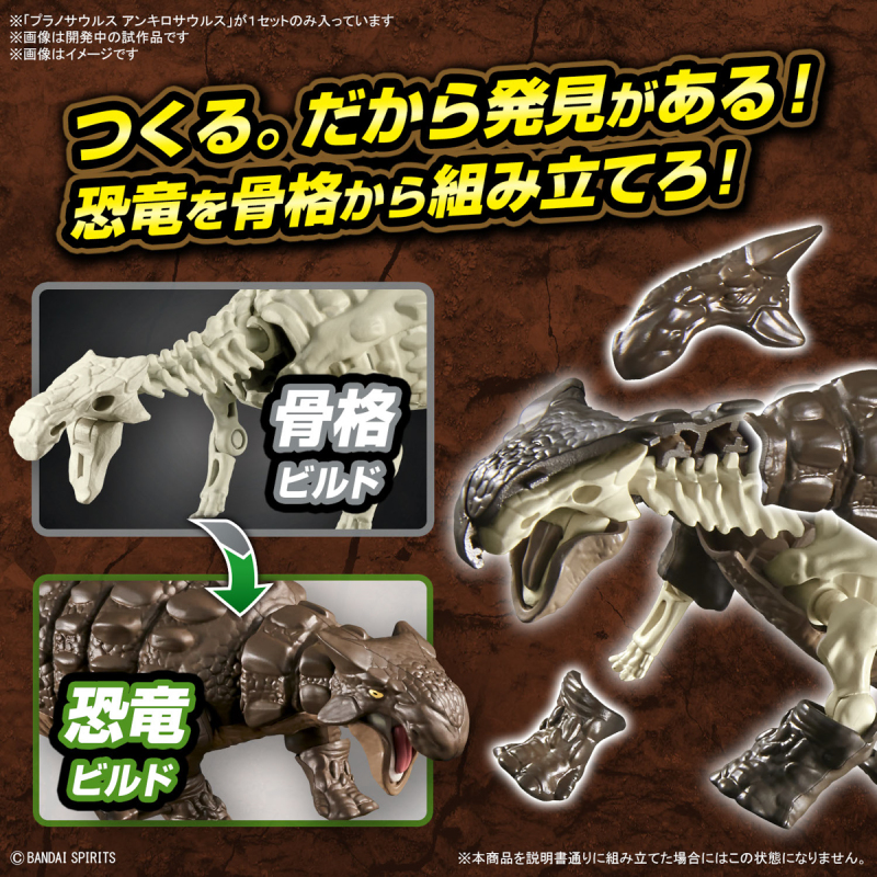 層層再現骨骼、外觀造型！萬代『恐龍組裝模型 甲龍』預計 10 月發售