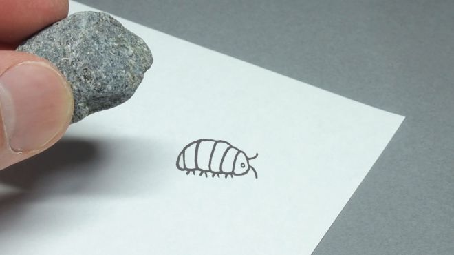 J.DREAM『石頭印章』設計師人氣作品轉蛋化～尋找藏在石頭底下的團子蟲！