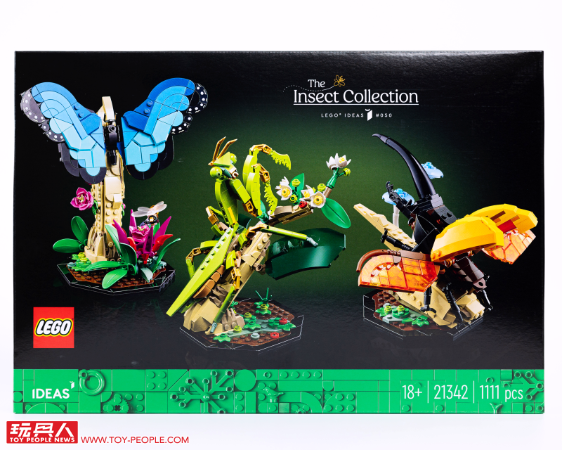 LEGO 21342 Ideas 系列「昆蟲集錦」開箱報告 超乎預期的逼真生物感＆大加分的棲息地展示底座！