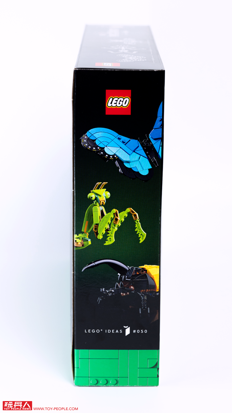 LEGO 21342 Ideas 系列「昆蟲集錦」開箱報告 超乎預期的逼真生物感＆大加分的棲息地展示底座！