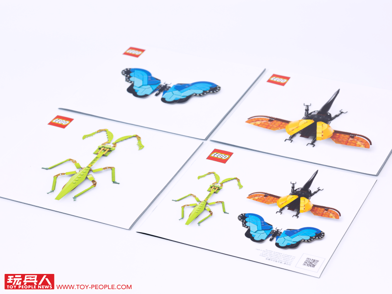 LEGO 21342 Ideas 系列「昆蟲集錦」開箱報告 超乎預期的逼真生物感＆大加分的棲息地展示底座！