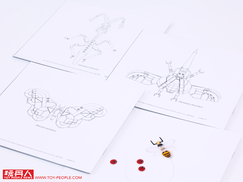 LEGO 21342 Ideas 系列「昆蟲集錦」開箱報告 超乎預期的逼真生物感＆大加分的棲息地展示底座！