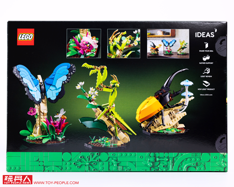 LEGO 21342 Ideas 系列「昆蟲集錦」開箱報告 超乎預期的逼真生物感＆大加分的棲息地展示底座！