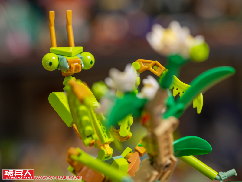 LEGO 21342 Ideas 系列「昆蟲集錦」開箱報告 超乎預期的逼真生物感＆大加分的棲息地展示底座！