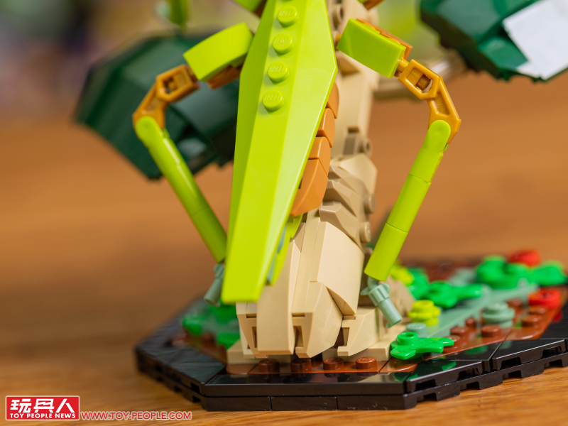 LEGO 21342 Ideas 系列「昆蟲集錦」開箱報告 超乎預期的逼真生物感＆大加分的棲息地展示底座！