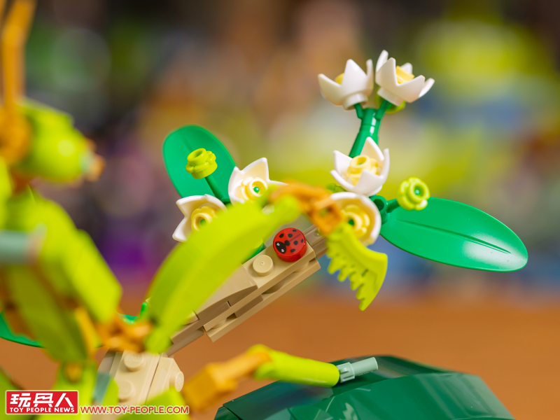 LEGO 21342 Ideas 系列「昆蟲集錦」開箱報告 超乎預期的逼真生物感＆大加分的棲息地展示底座！